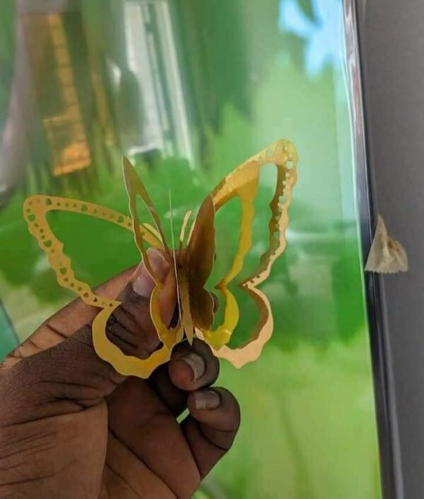 12 Papillons dorés – Image 5